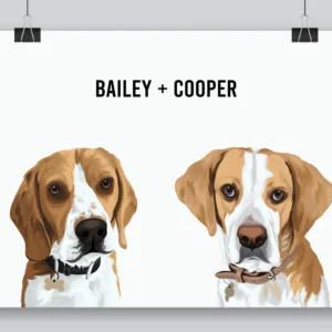 Home two pet portrait