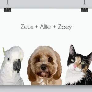 Home three pet portrait